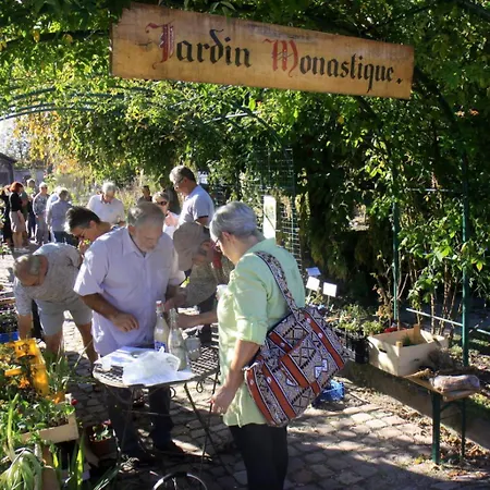 Tranqu'ill Sur Les Berges De L'ill Appartement Eschau